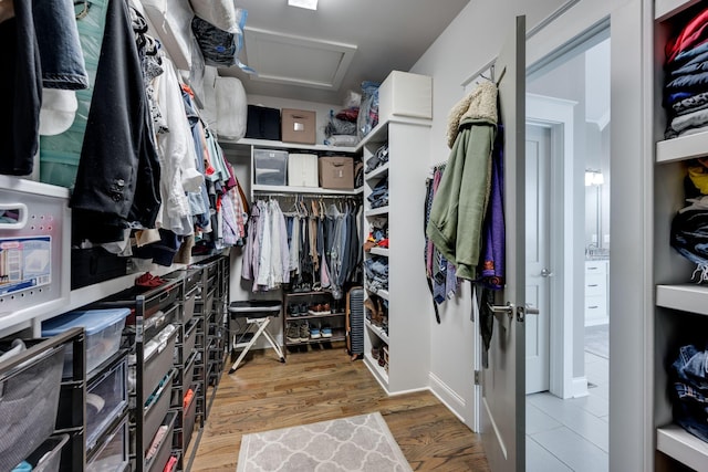 2965 Stewart Campbell Pt, Spring Hill, TN 37174 - spacious closet featuring attic access and wood finished floors