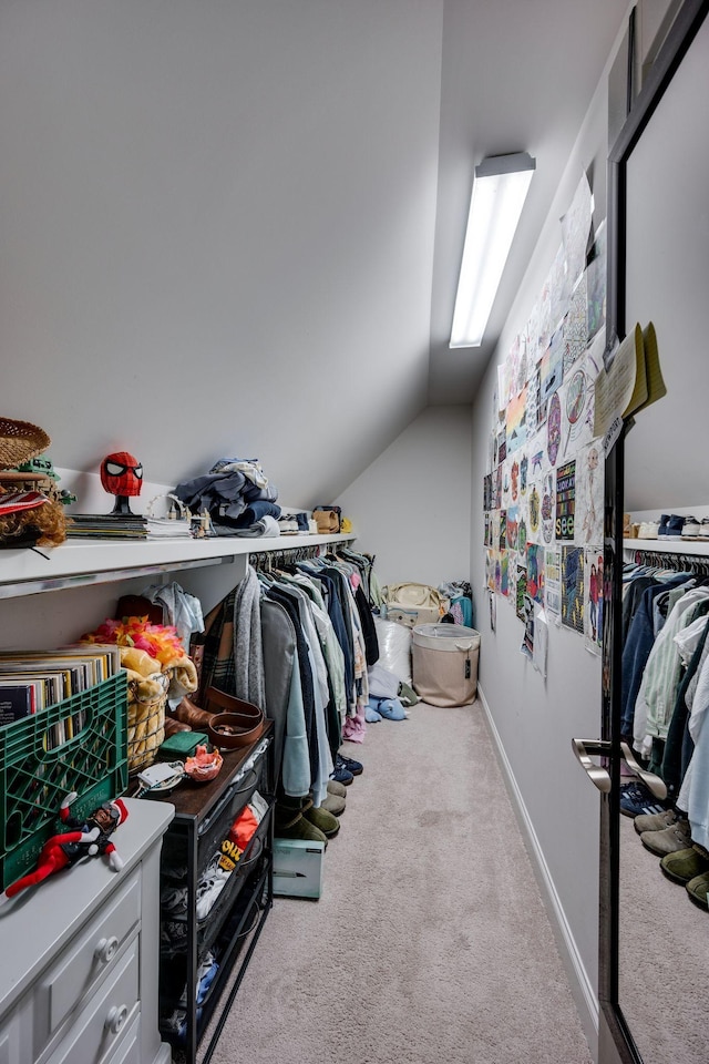 2965 Stewart Campbell Pt, Spring Hill, TN 37174 - spacious closet with carpet floors and vaulted ceiling