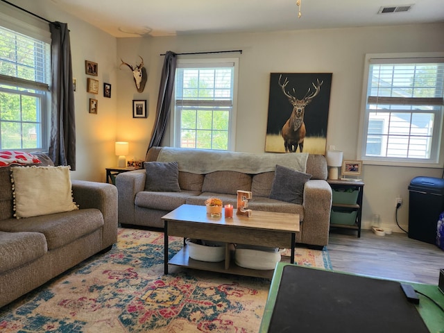 207 Merideth Ave, Waverly, TN 37185 - living area featuring visible vents, wood finished floors, and a wealth of natural light
