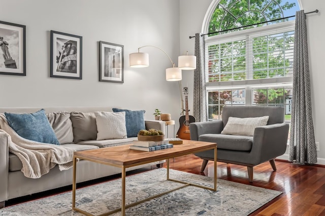 living room with hardwood / wood-style flooring