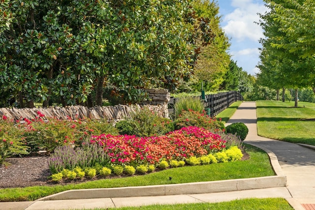 view of property's community with a lawn