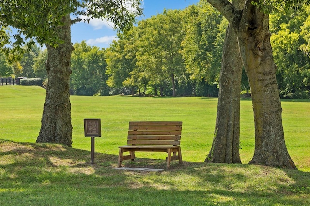view of home's community with a yard