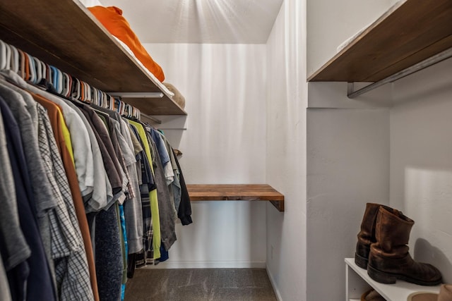 view of walk in closet