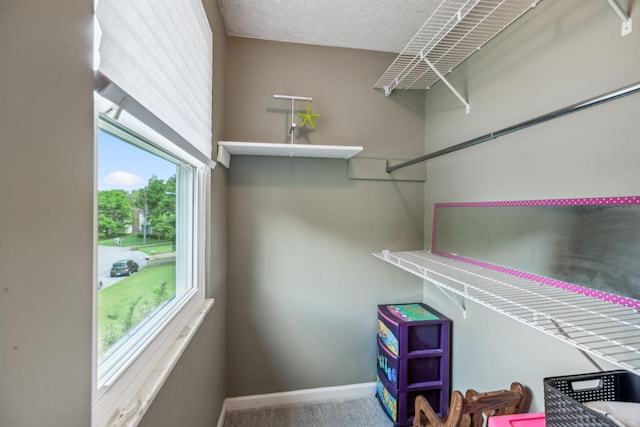 walk in closet with carpet