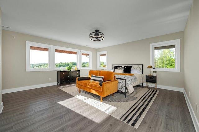 231 Wolf Ridge Ln, Lynchburg, TN 37352 - bedroom with baseboards, wood finished floors, and multiple windows