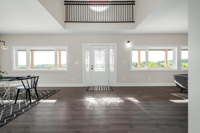 231 Wolf Ridge Ln, Lynchburg, TN 37352 - foyer featuring baseboards, a wealth of natural light, and wood finished floors