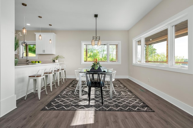 231 Wolf Ridge Ln, Lynchburg, TN 37352 - dining area with baseboards, visible vents, dark wood-style floors, and a wealth of natural light