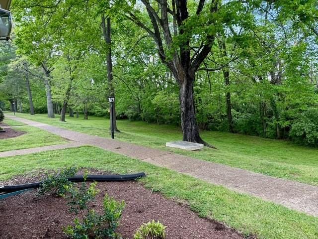 surrounding community featuring a lawn