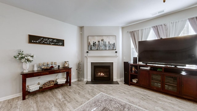 204 Princeton Dr, Lebanon, TN 37087 - living room with wood finished floors and a fireplace with flush hearth