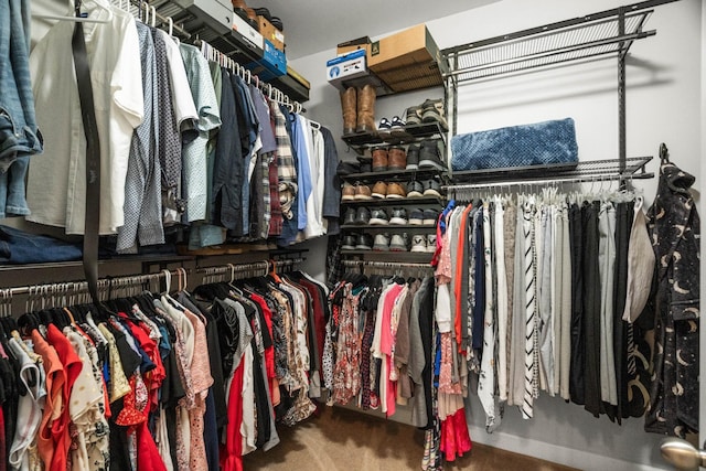 1006 Grider Dr, Gallatin, TN 37066 - spacious closet with carpet flooring