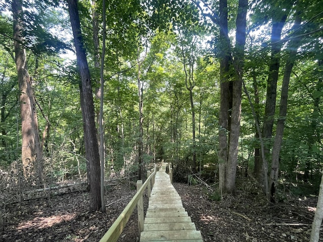 885 Majors Cemetery Rd, Lynchburg, TN 37352 - photo 84