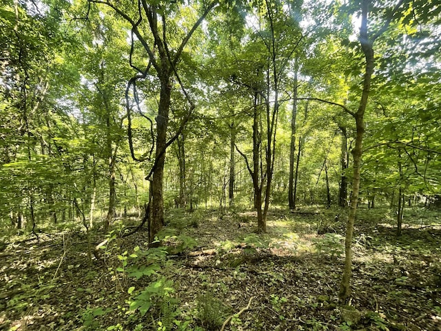 885 Majors Cemetery Rd, Lynchburg, TN 37352 - photo 87