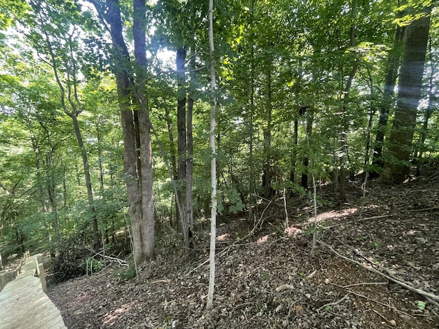 885 Majors Cemetery Rd, Lynchburg, TN 37352 - photo 85