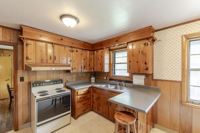 kitchen featuring white electric stove, brown cabinets, wood walls, a sink, and under cabinet range hood