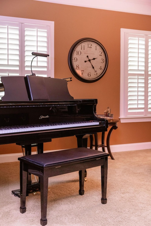 details featuring carpet floors and baseboards