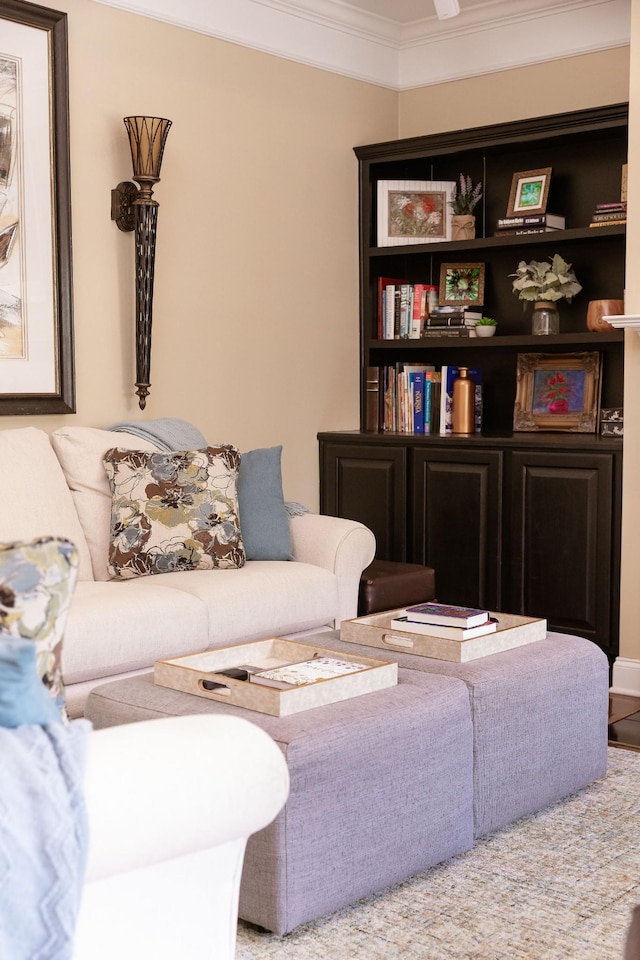 living area with crown molding