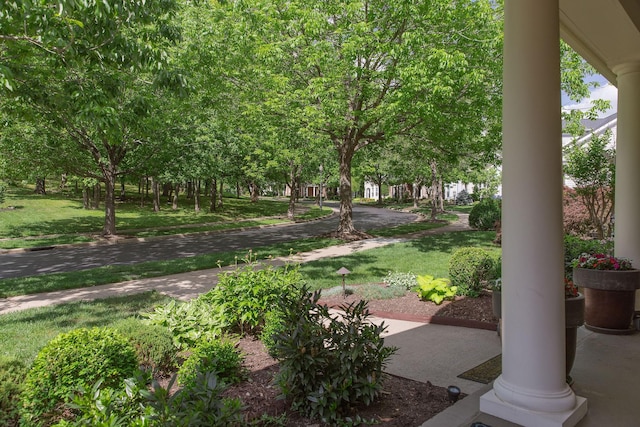 view of community with a yard