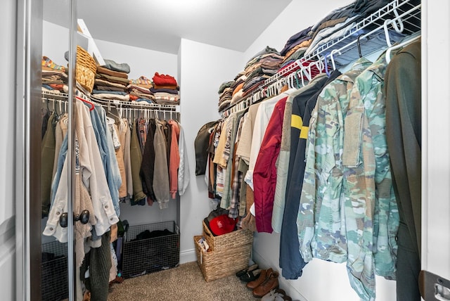 walk in closet with carpet