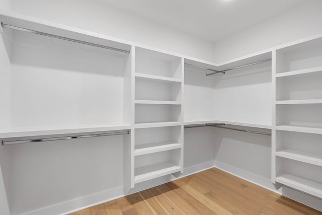spacious closet featuring light wood-style floors