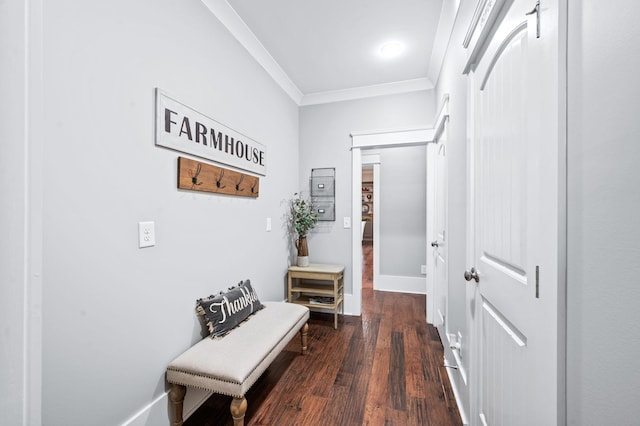 9232 Holstein Dr, Nolensville, TN 37135 - photo 26