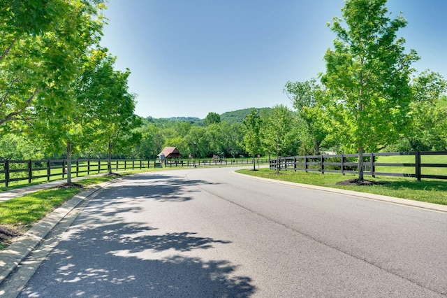 9232 Holstein Dr, Nolensville, TN 37135 - photo 64