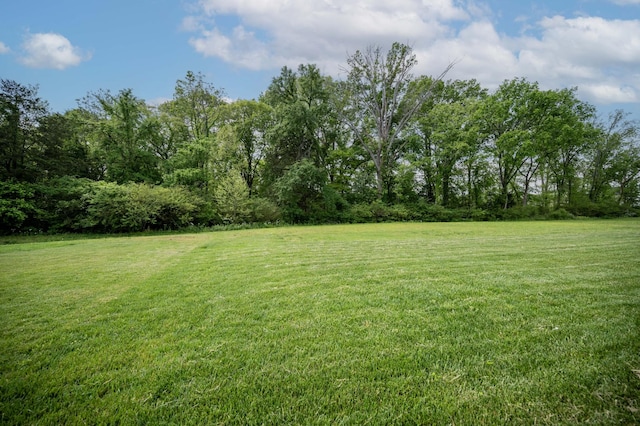 6909 Springwater St, Smyrna, TN 37167 - photo 51