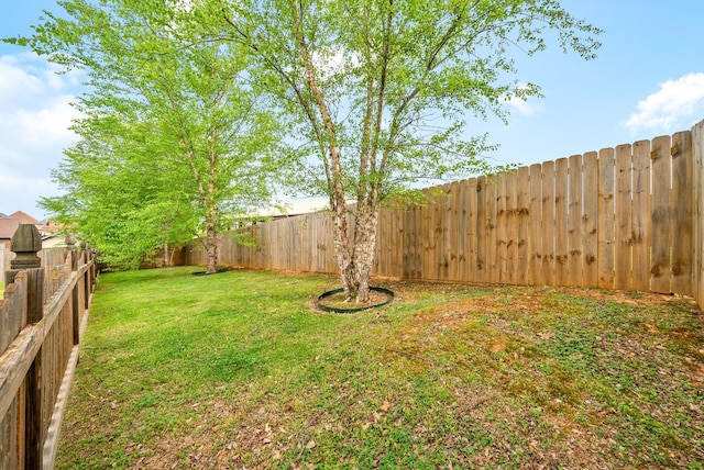 view of yard with a fenced backyard