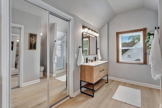 full bathroom featuring toilet, a shower stall, lofted ceiling, and vanity