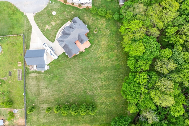 bird's eye view