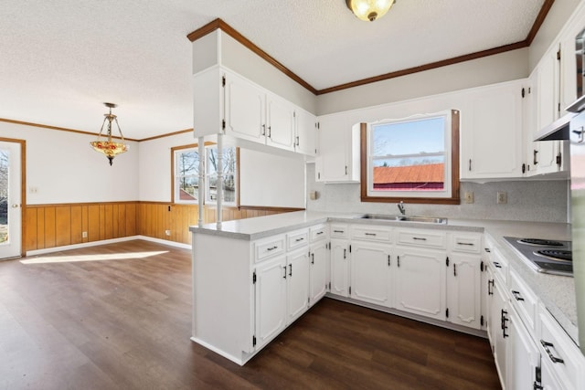 kitchen featuring dark wood-style flooring, a textured ceiling, a sink, a wainscoted wall, and stainless steel electric stovetop