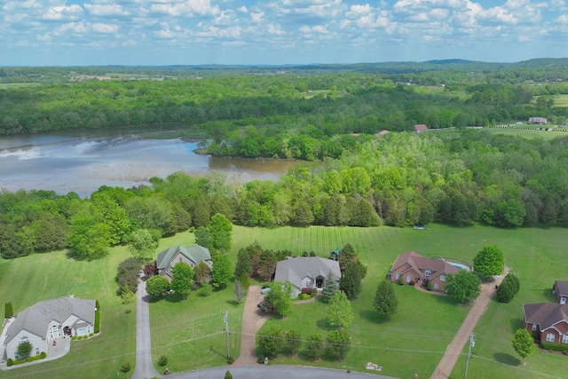 bird's eye view featuring a water view and a view of trees