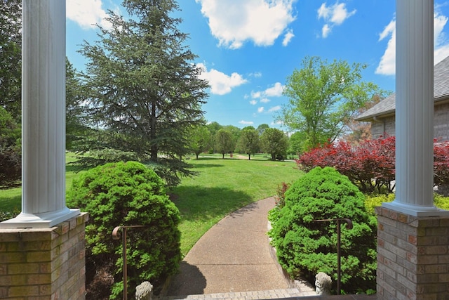 view of yard