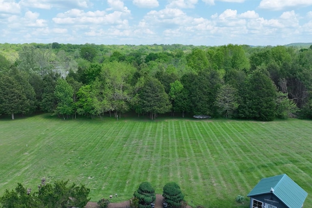 view of yard with a forest view