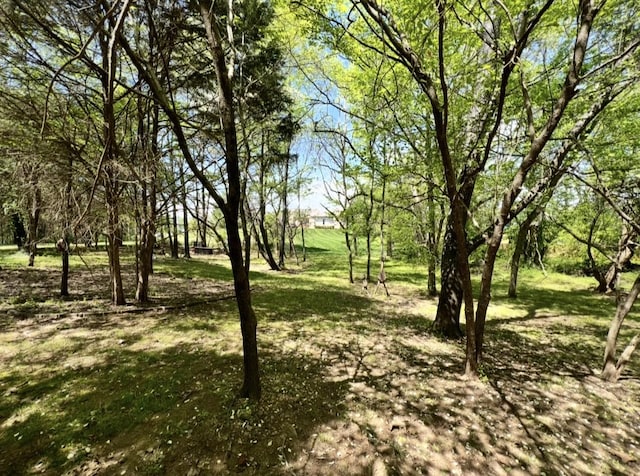 view of landscape