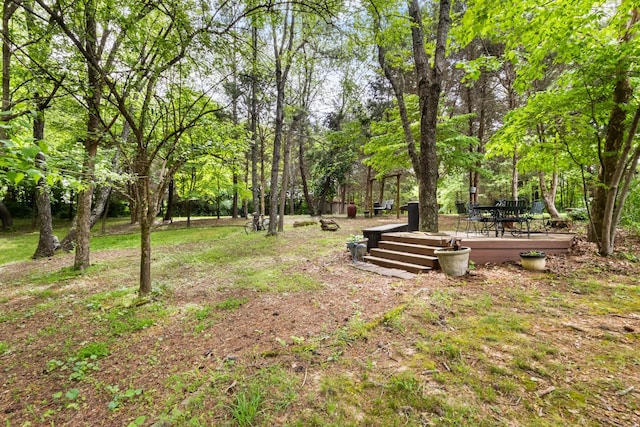 2203 Exeter Ln, Clarksville, TN 37043 - photo 57