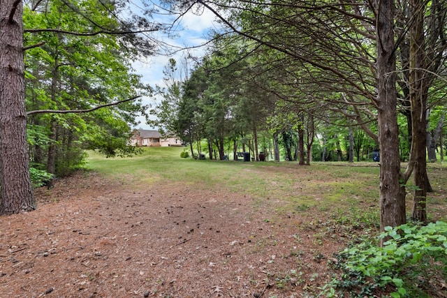 2203 Exeter Ln, Clarksville, TN 37043 - photo 61