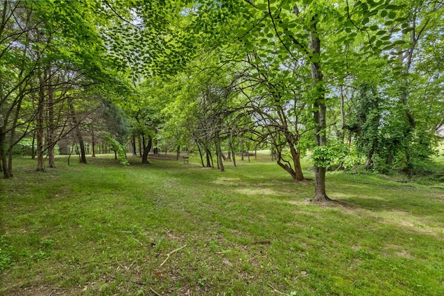 2203 Exeter Ln, Clarksville, TN 37043 - photo 59