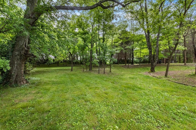 2203 Exeter Ln, Clarksville, TN 37043 - photo 58