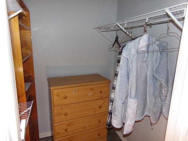 801 Laurel Hill Dr Unit 801, Old Hickory, TN 37138 - view of walk in closet