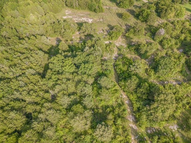 195 Spring Creek Ln, Lebanon, TN 37090 - birds eye view of property