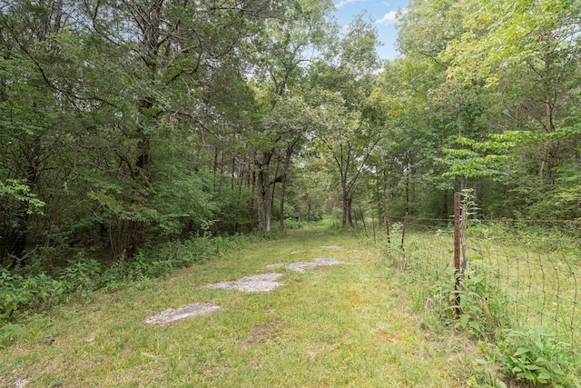 195 Spring Creek Ln, Lebanon, TN 37090 - view of yard featuring a wooded view