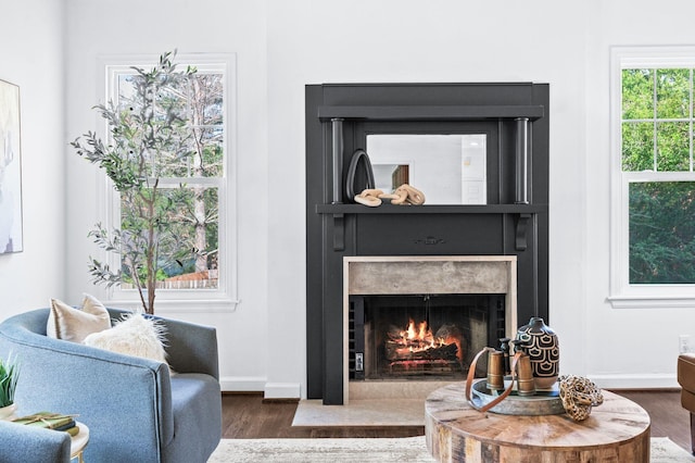 living room with baseboards, wood finished floors, and a high end fireplace