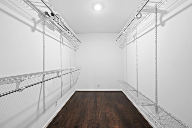 spacious closet with wood finished floors