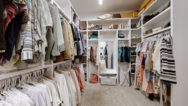8119 Schweitzer Pl, Arrington, TN 37014 - walk in closet featuring carpet flooring