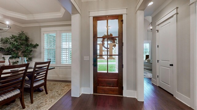 8119 Schweitzer Pl, Arrington, TN 37014 - entryway featuring a healthy amount of sunlight, a raised ceiling, crown molding, and dark wood-type flooring