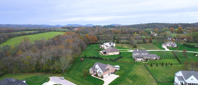 8119 Schweitzer Pl, Arrington, TN 37014 - aerial view