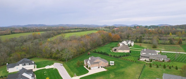 8119 Schweitzer Pl, Arrington, TN 37014 - bird's eye view