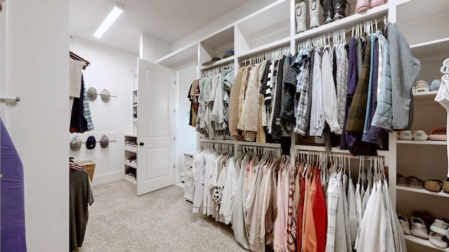 8119 Schweitzer Pl, Arrington, TN 37014 - walk in closet with carpet