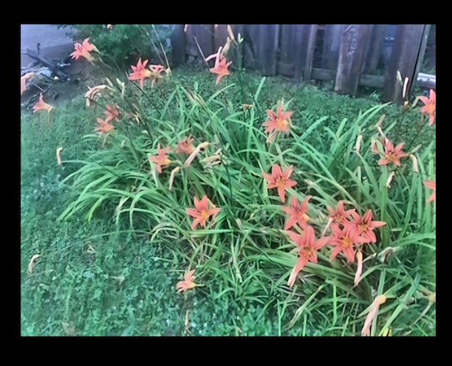 207 Dunlap St, Paris, TN 38242 - view of details