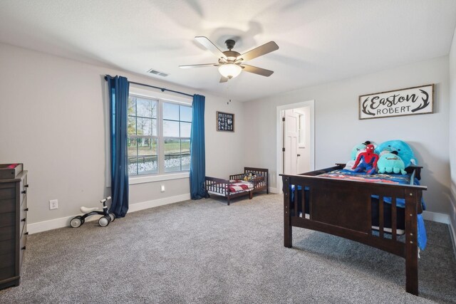 3952 Chapel Hill Rd, Clarksville, TN 37040 - photo 31